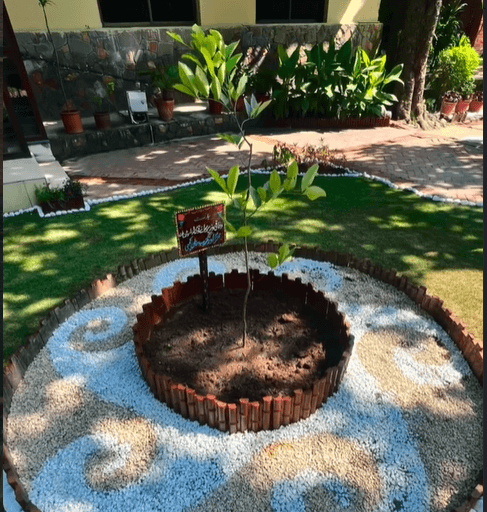 Independence Day Landscape Transformation at Lok Virsa 2